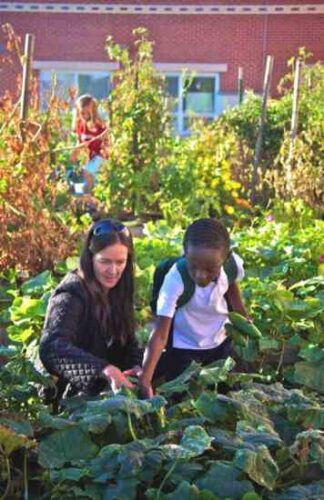 School Gardens Foster Meaningful Relationships with Food